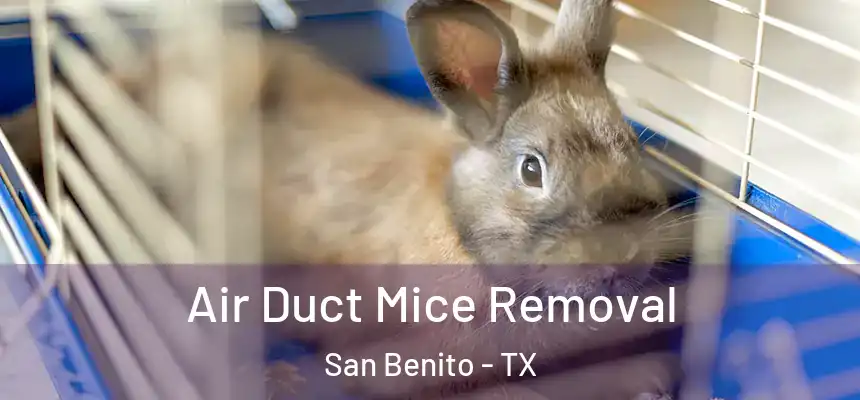  Air Duct Mice Removal San Benito - TX