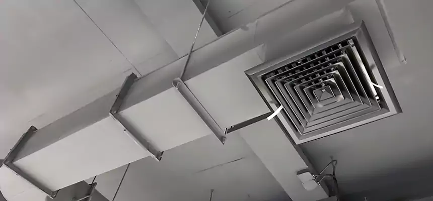 Our Pest Removal From Ducts Services in San Benito, TX