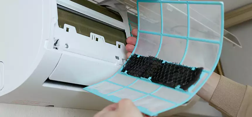 Gentle Ductwork Odor-Control Pet Dander Duct Cleaning in San Benito, TX