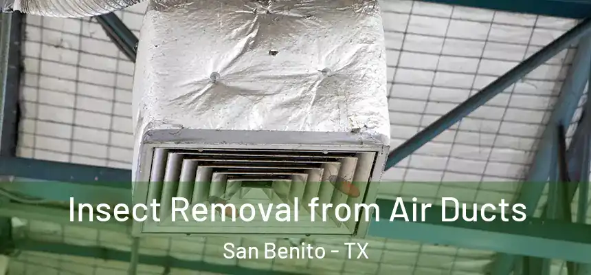  Insect Removal from Air Ducts San Benito - TX