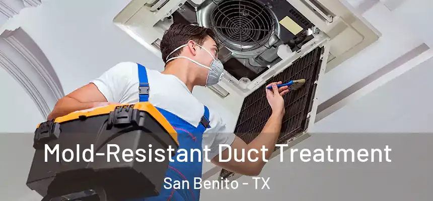 Mold-Resistant Duct Treatment San Benito - TX