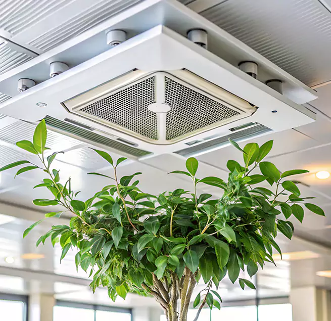 Why Homeowners & Businesses Trust Us in San Benito, TX?